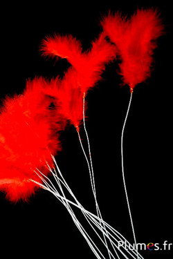 Panicule 3 plumes - hauteur 36 cm - rouge